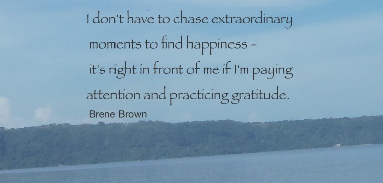 Gratitude--Brene Brown